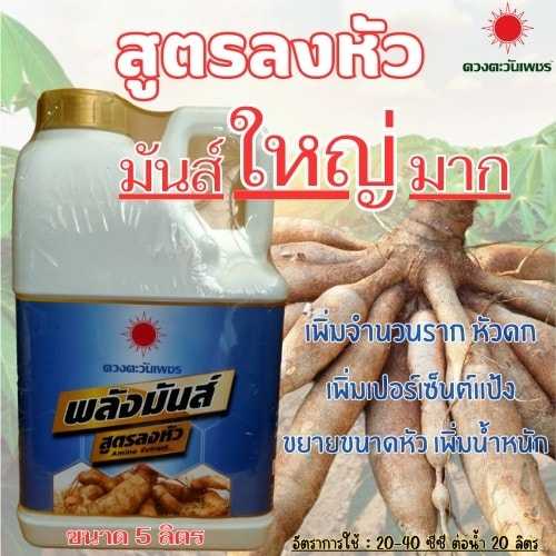พลังมันส์ มันส์ใหญ่มาก สูตรลงหัว เร่งการลงหัว เพิ่มแป้ง เพิ่มน้ำหนัก ขยายขนาด ขนาด 5 ลิตร