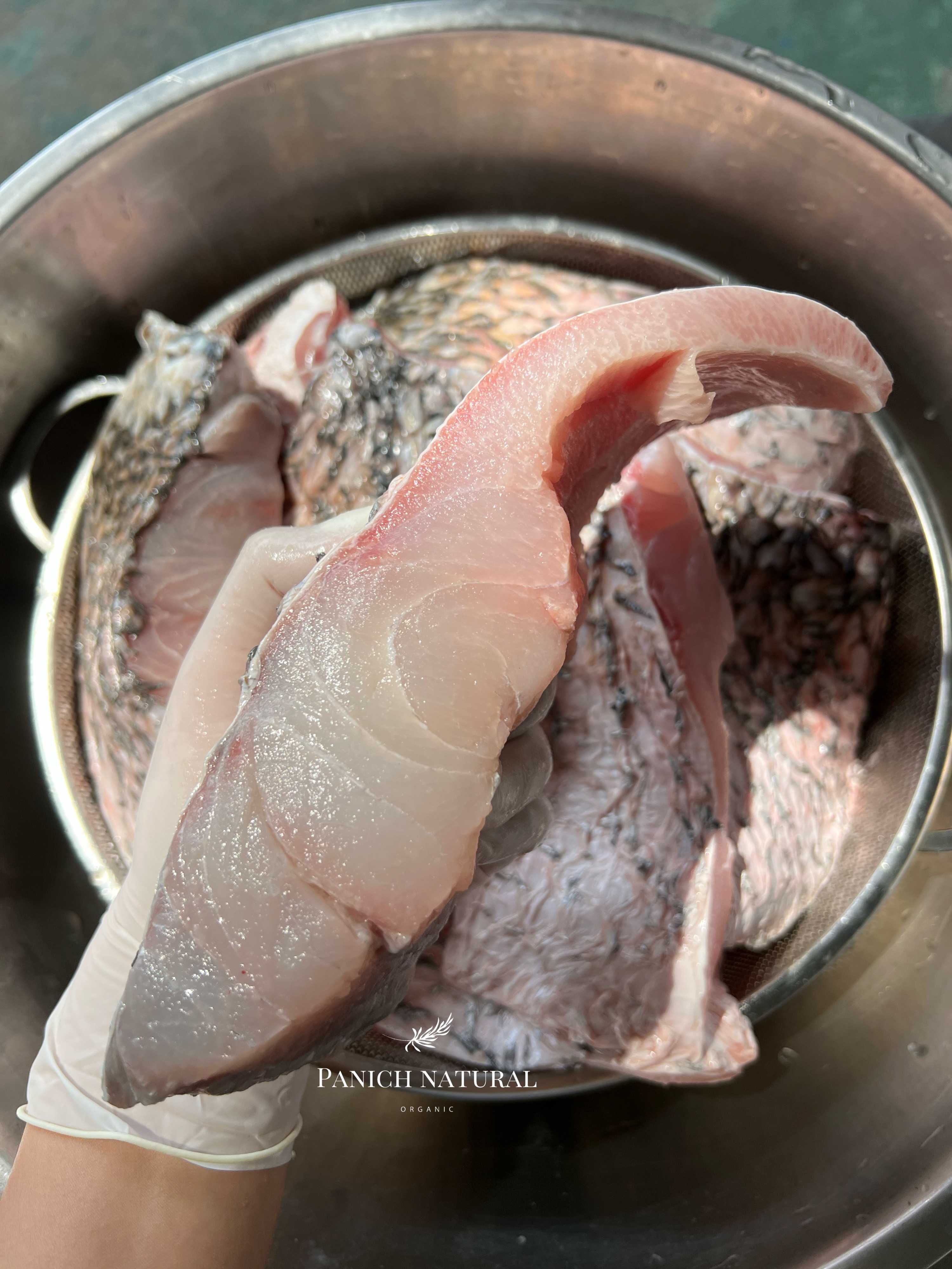 ปลากะพงแล่ Fillet หนา