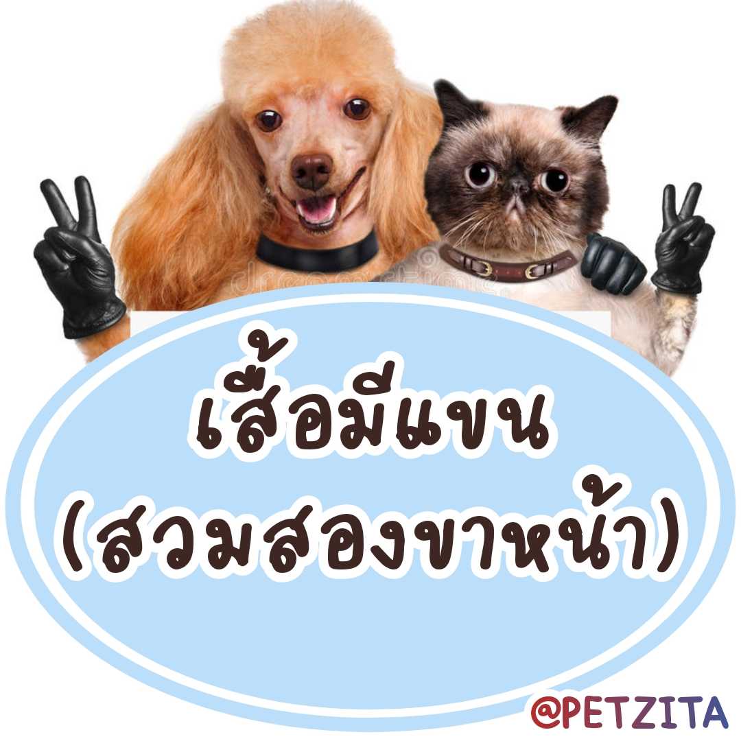 An Image