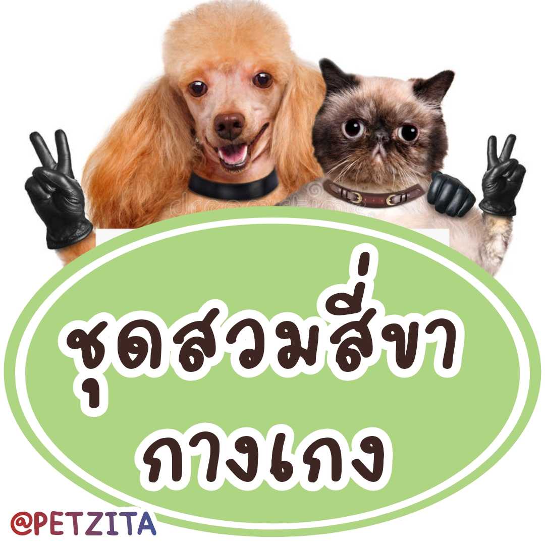 An Image