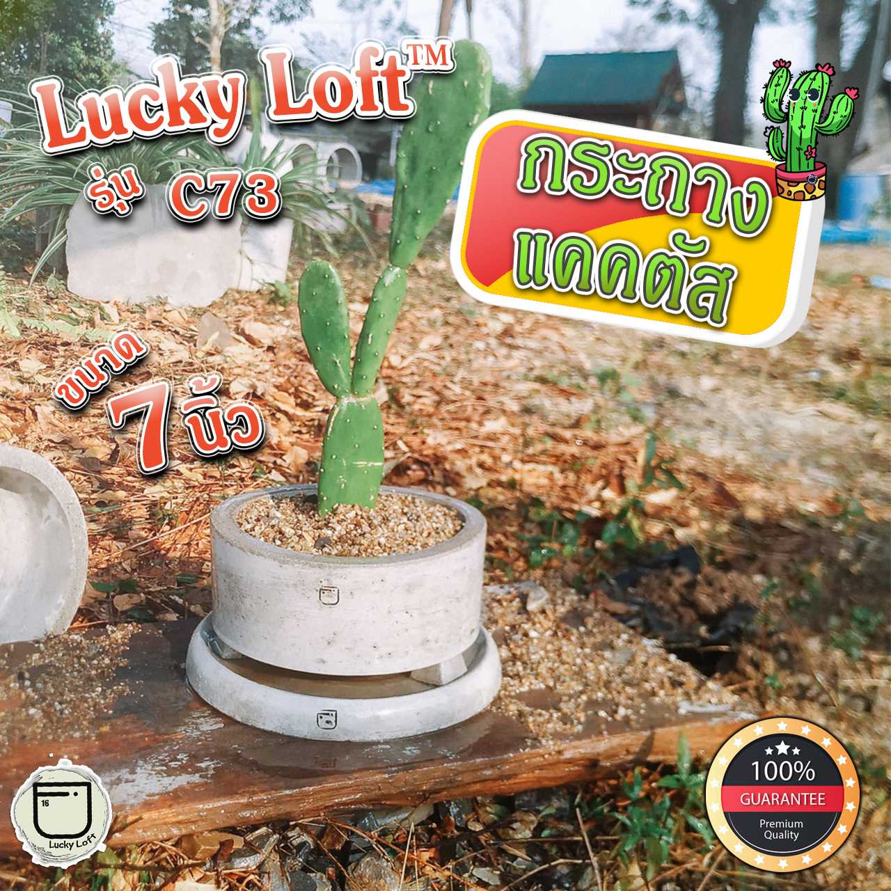 กระถางแคคตัส 7นิ้ว กระถางกระบองเพชร ทรงกระบอก แบบเตี้ย  มินิมอล&ลอฟท์ Lucky Loft™ C73