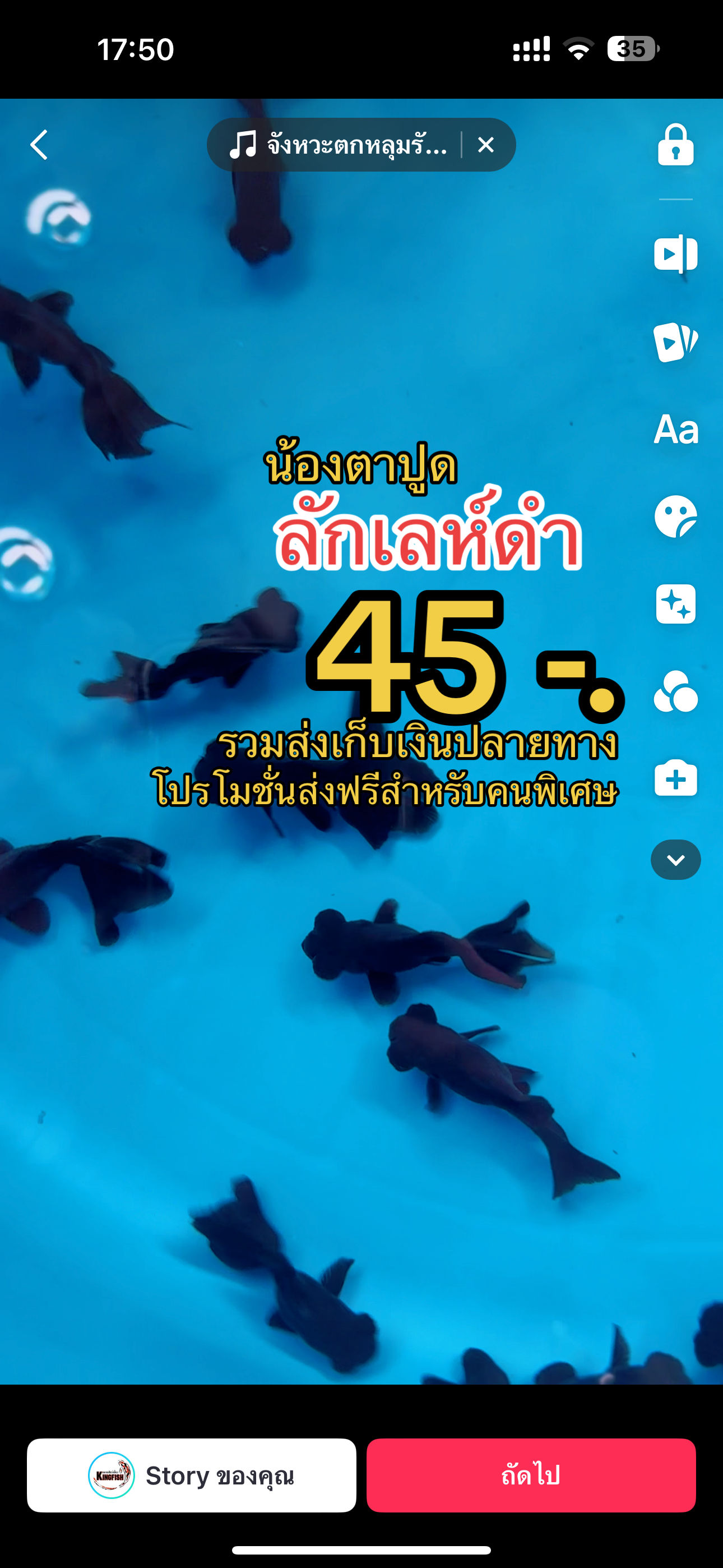 ปลาลักเลห์ดำตาปูด 45 บาท ขนาด 1.5 - 2 นิ้ว