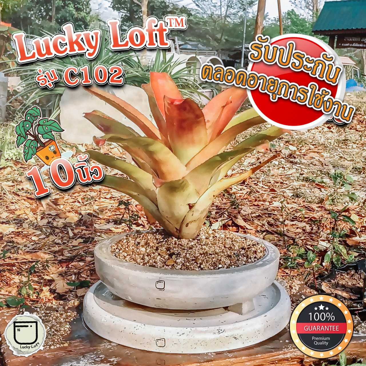 กระถางบอนไซ 10นิ้ว กระถางกระบองเพชร ไม้อวบน้ำ จัดสวนถาด ทรงกลม Lucky Loft™ C102