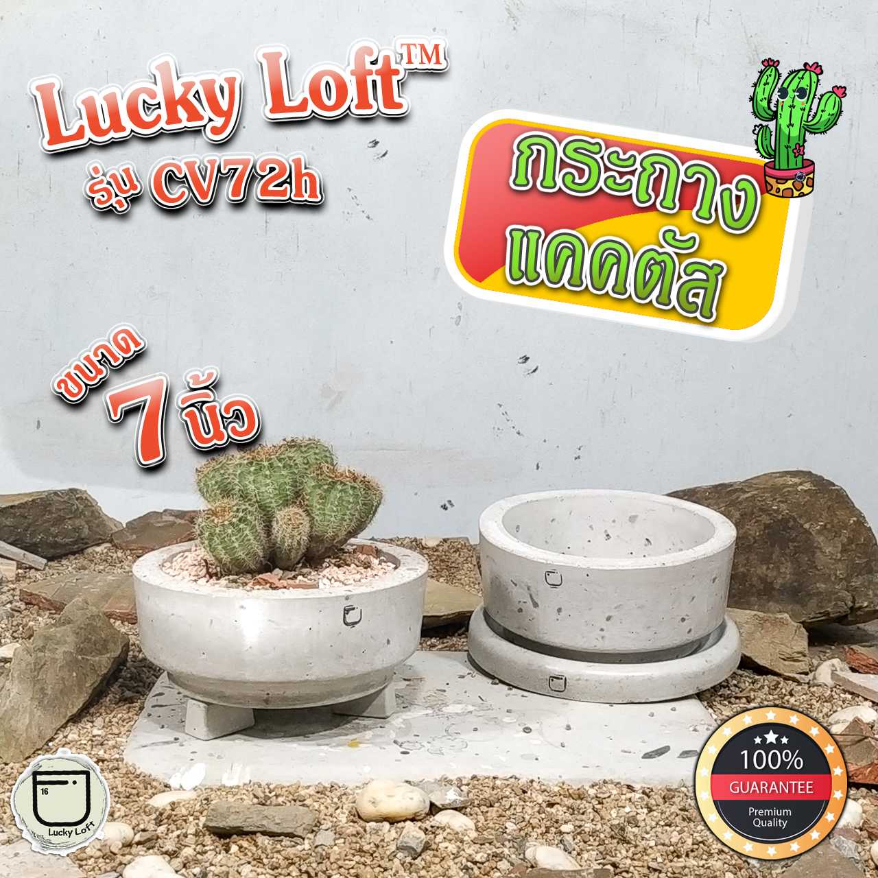 กระถางแคคตัส 7นิ้ว กระถางกระบองเพชร ไม้อวบน้ำ ทรงวี ฐานแคบ มินิมอล&ลอฟท์ Lucky Loft™ CV72H