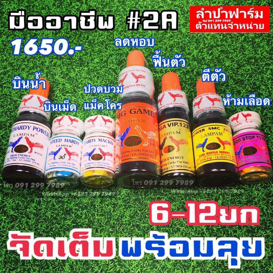 ชุดมืออาชีพ 2A