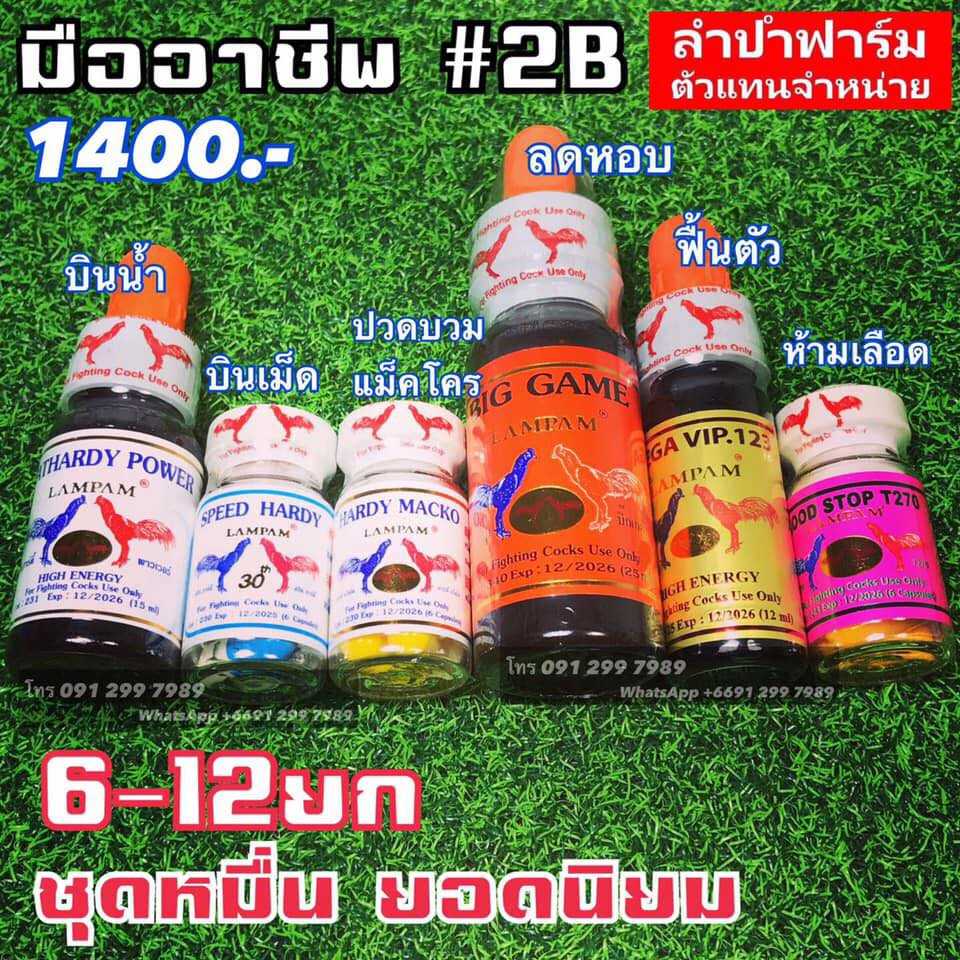 ชุดมืออาชีพ 2B