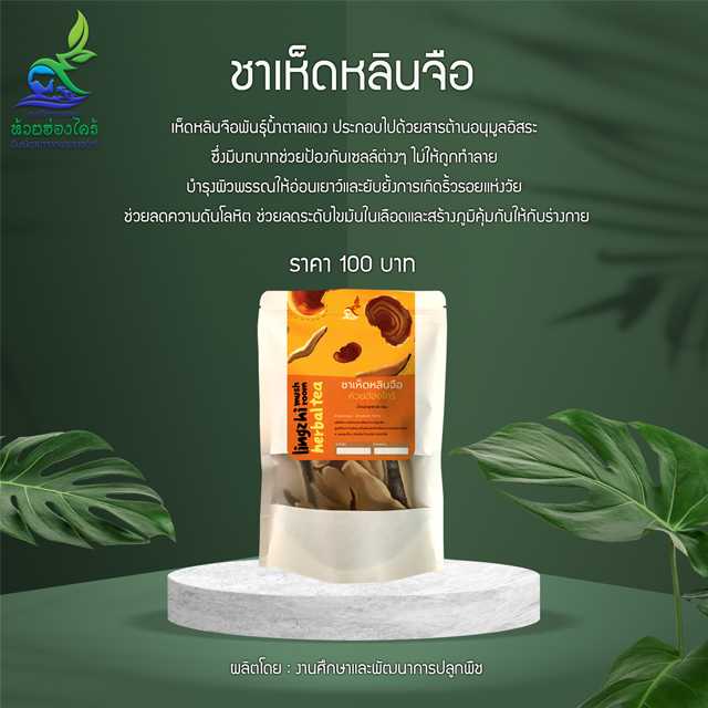 ชาเห็ดหลินจือ Lingzhi Herbal Tea