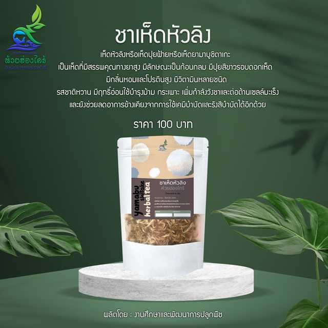 ชาเห็ดหัวลิง Yamabushitake Herbal Tea