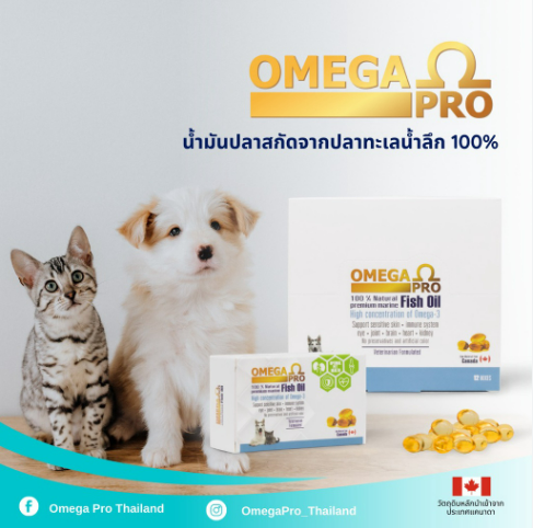 ใหม่ Omega Pro Fish Oil น้ำมันปลา อาหารเสริม บำรุงขน สุนัข หมา แมว โอเมก้า 3 เข้มข้นสูง