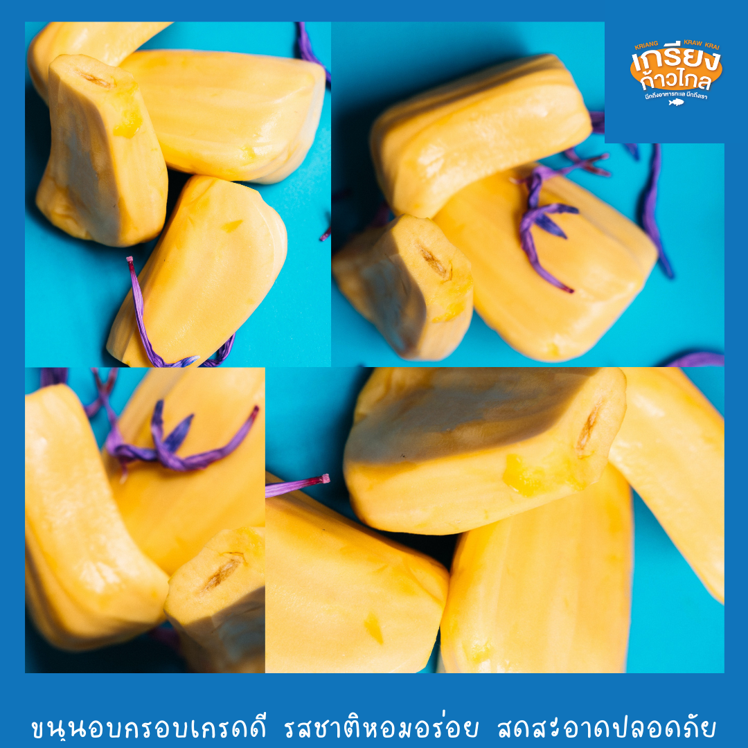 ขนุนอบกรอบเกรดดี กรอบ เนื้อหวาน หอม สดสะอาดอร่อย น้ำหนัก 20 กรัม - 1 กิโลกรัม by เกรียงก้าวไกลฟู๊ด