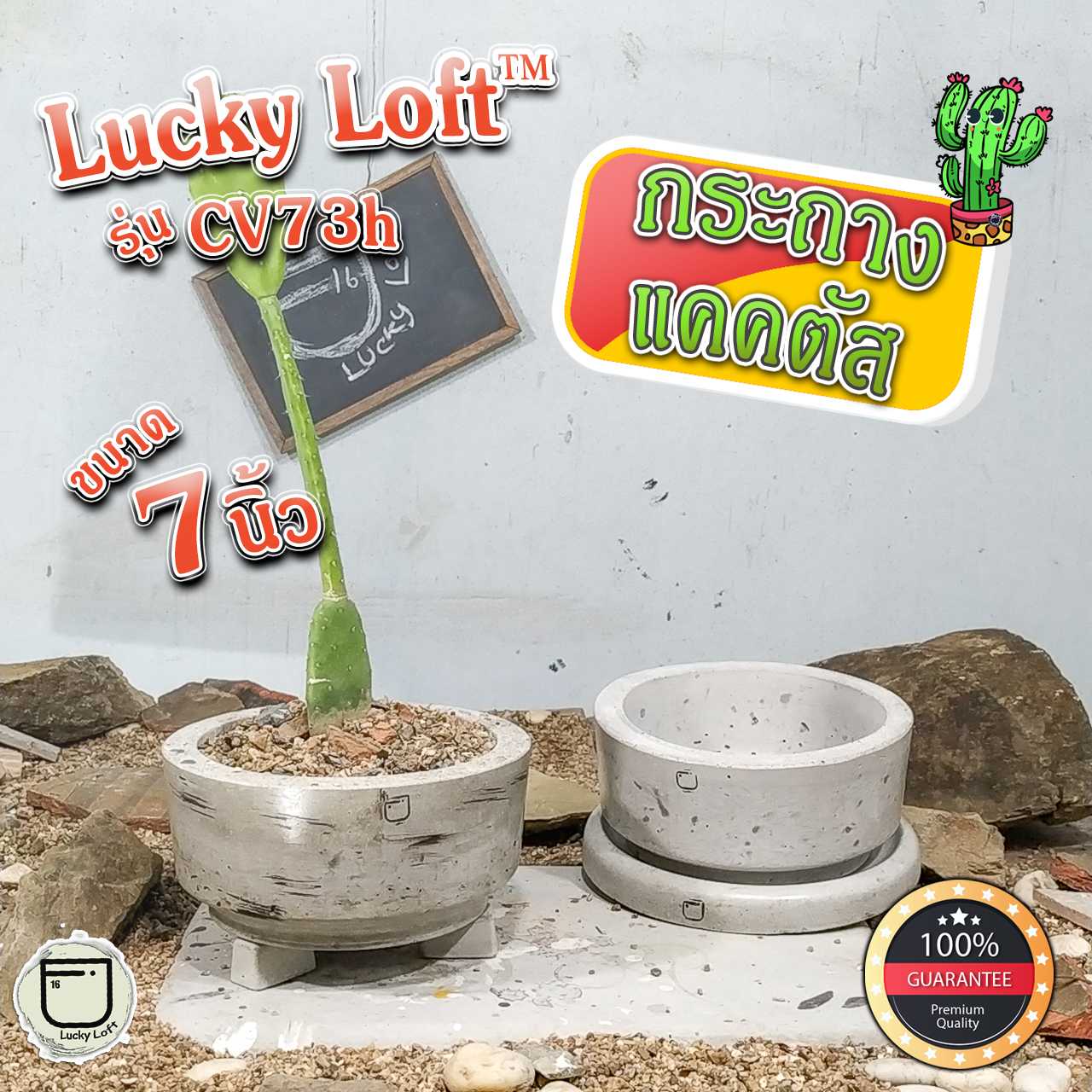 กระถางแคคตัส 7นิ้ว กระถางกระบองเพชร ไม้อวบน้ำ ทรงวี ฐานแคบ มินิมอล&ลอฟท์ Lucky Loft™ CV73H