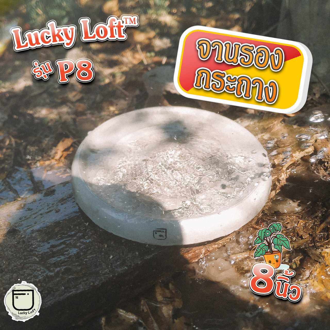 จานรองกระถางต้นไม้ 8นิ้ว ถาดรองกระถางทรงกลม Lucky Loft™ P8