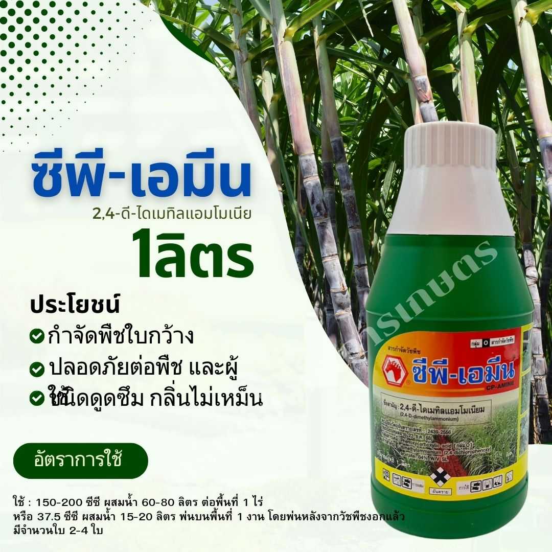 ซีพีเอมีน 2,4-ดี-ไดเมทิลแอมโมเนียม 1ลิตร ตราหัวม้า กำจัดวัชพืชใบกว้างและประเภทกก ปลอดภัยไม่เหม็น