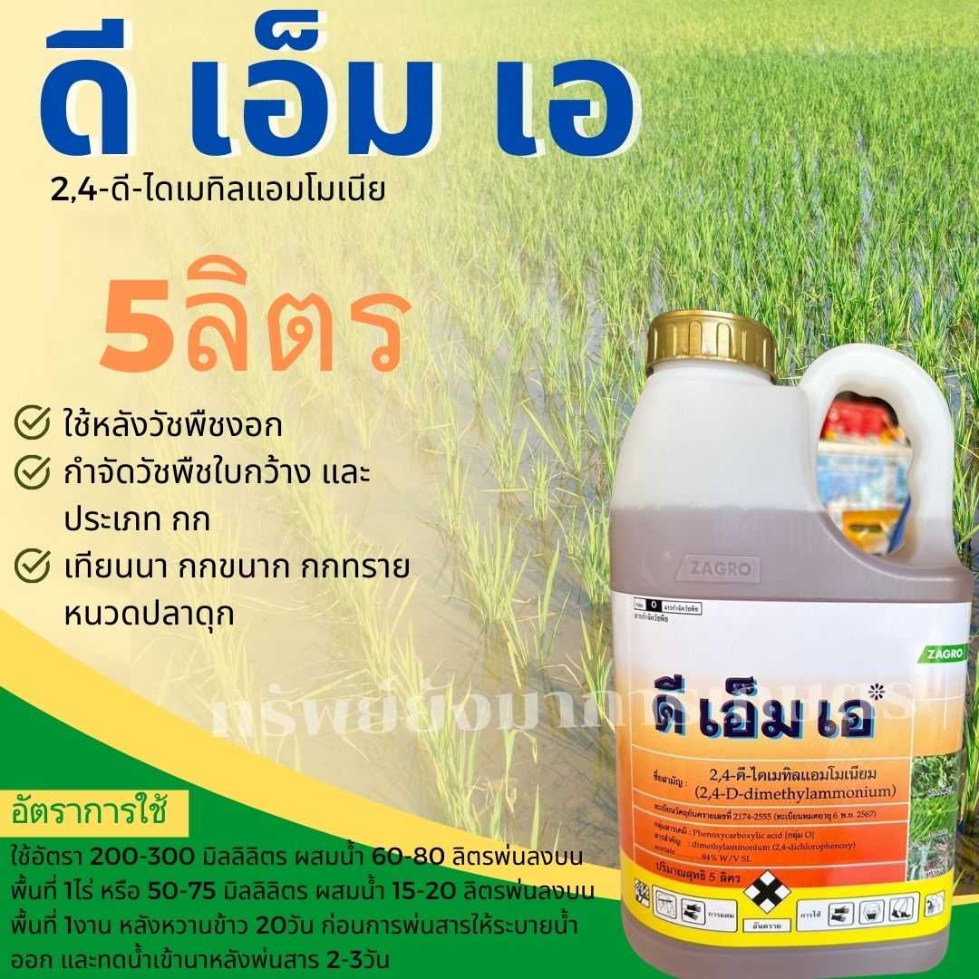 ดี เอ็ม เอ 2,4-ดี-ไดเมทิลแอมโมเนียม 5ลิตร ใช้หลังวัชพืชงอก กำจัดวัชพืชใบกว้าง และวัชพืชประเภท กก