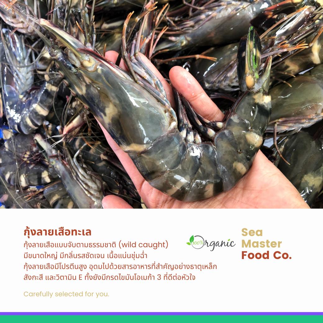 กุ้งลายเสือ