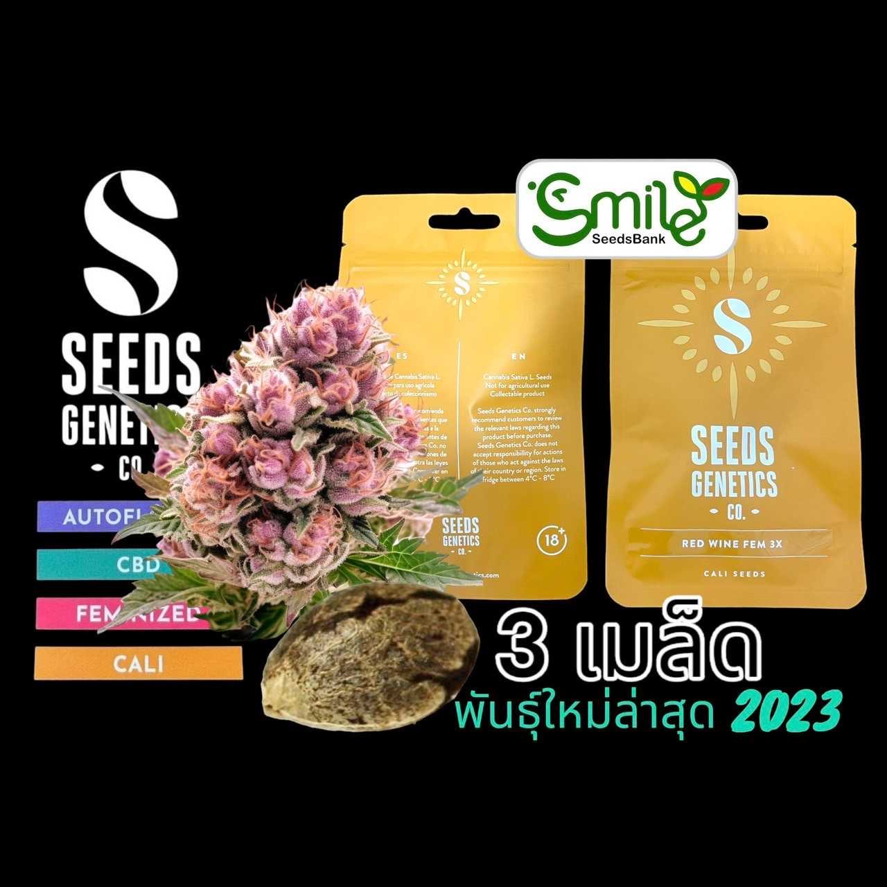 Seeds Genetics.Co Red Wine Fem - Pack 3