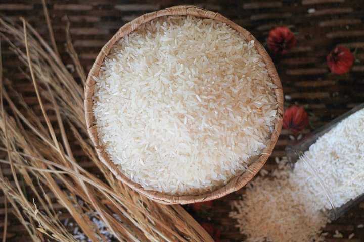 ข้าวสาร หอมมะลิอินทรีย์ Jasmine Rice