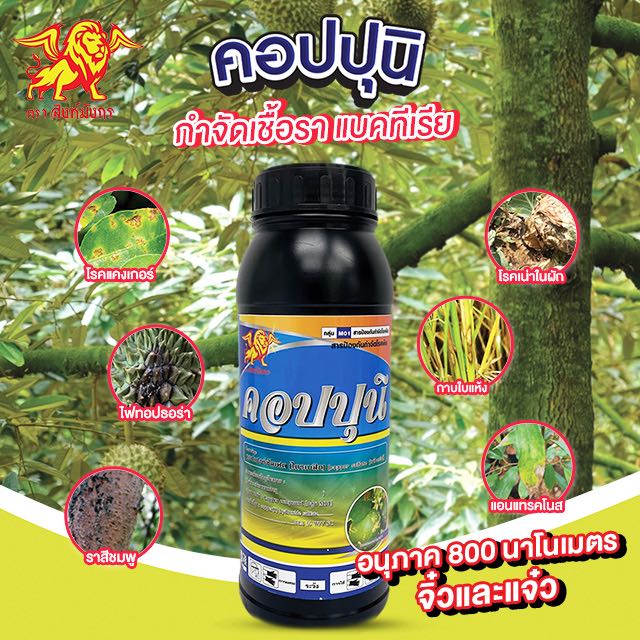 คอปปุนิ สิงห์มังกร