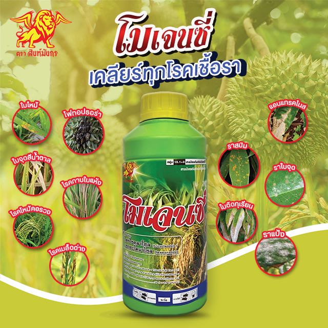 โมเจนซี่ สิงห์มังกร