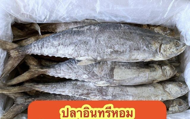 ปลาอินทรีตัวหอมอร่อย ตัวละ 380