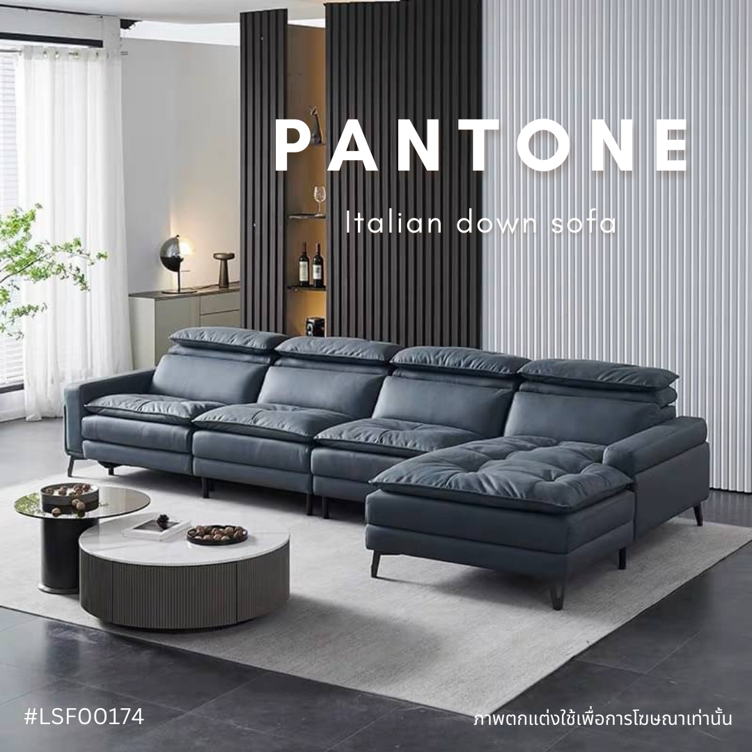PANTONE Italian down sofa