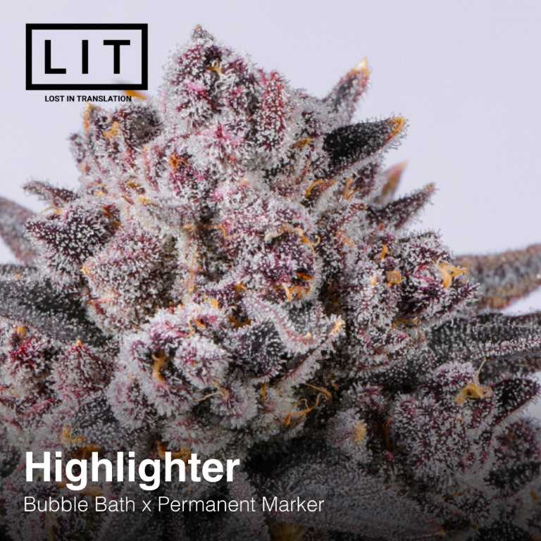 Highlighter LitFarms Feminized Photoperiod