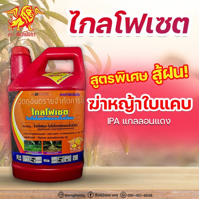 ไกลโฟเซต IPA แกลลอนแดง สิงห์มังกร