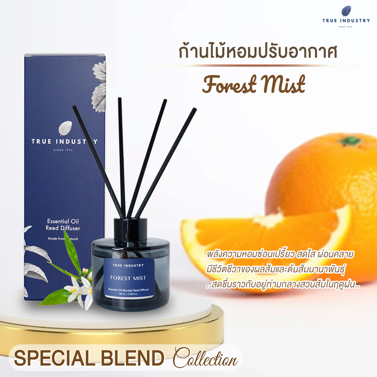 True Industry | ก้านไม้หอมปรับอากาศ กลิ่น Forest Mist - Special Blend Collection