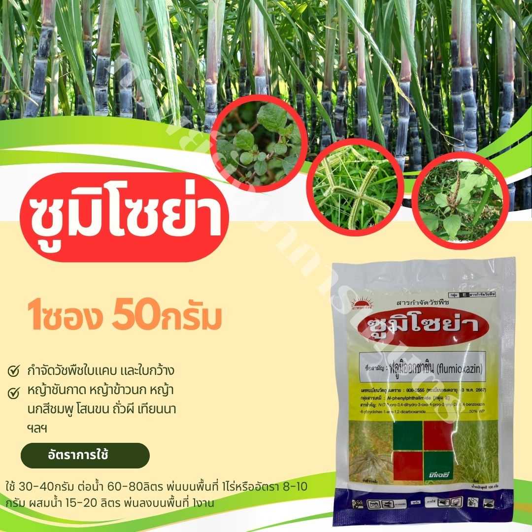 ซูมิโซย่า ฟลูมิออกซาซิน  ขนาด 50กรัม สารกำจัดวัชพืช ยาคุมวัชพืช วัชพืชทั้งประเภทใบแคบและใบกว้าง
