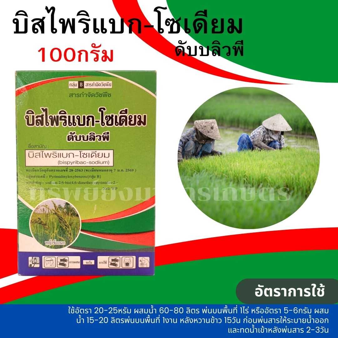 บิสไพริแบก-โซเดียม ดับบลิวซี 100กรัม หลังวัชพืชงอกในนาข้าวน้ำตม กำจัดวัชพืชใบแคบใบกว้าง และประเภทกก