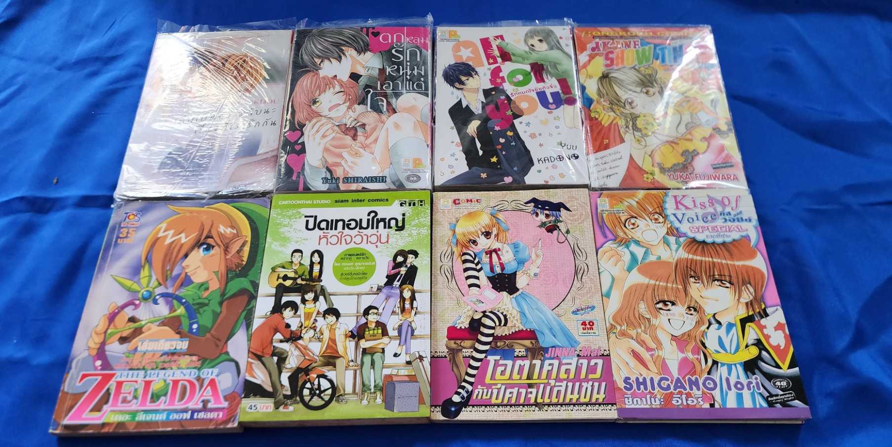 การ์ตูนเล่มเดียวจบ