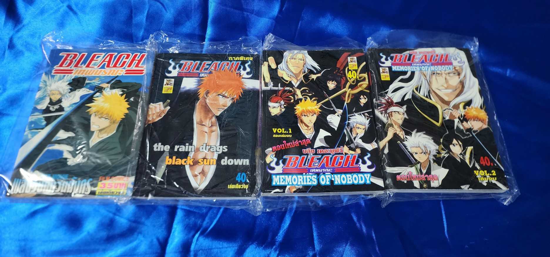 Bleach ภาคพิเศษ