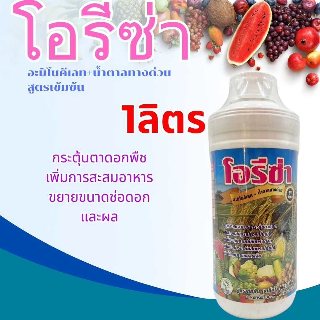 โอรีซ่า อะมิโนคีเลท+น้ำตาลทางด่วน ขนาด 1ลิตร กระตุ้นตาดอกพืช เพิ่มการสะสมอาหาร ขยายขนาดช่อดอกและผล