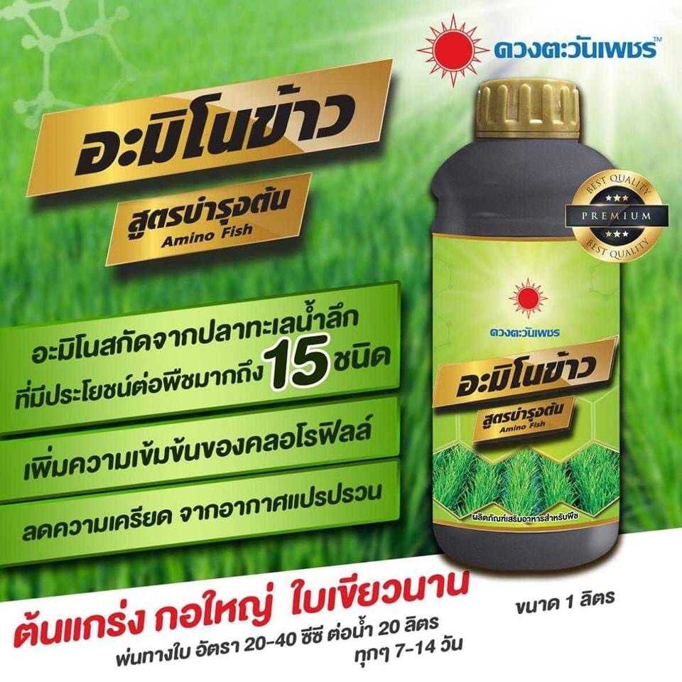 อะมิโนข้าว สูตรบำรุงต้น บำรุงราก แตกกอ บำรุงต้น บำรุงใบ ใบเขียว ขนาด 1 ลิตร