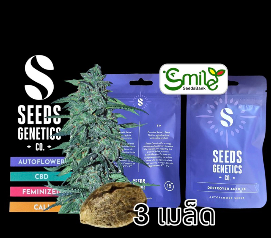 Seeds Genetics.Co Destroyer Auto - Pack 3