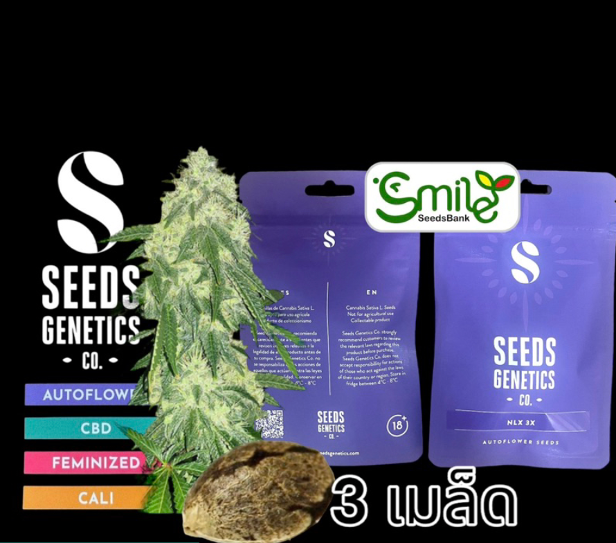 Seeds Genetics.Co NLX Auto - Pack 3