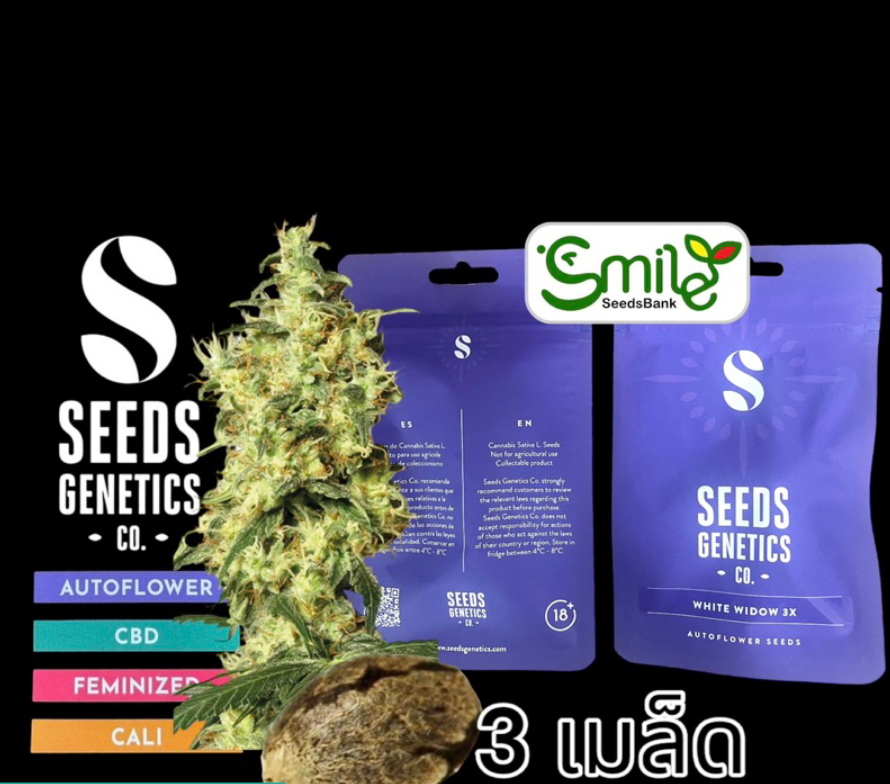 Seeds Genetics.Co White Widow Auto - Pack 3