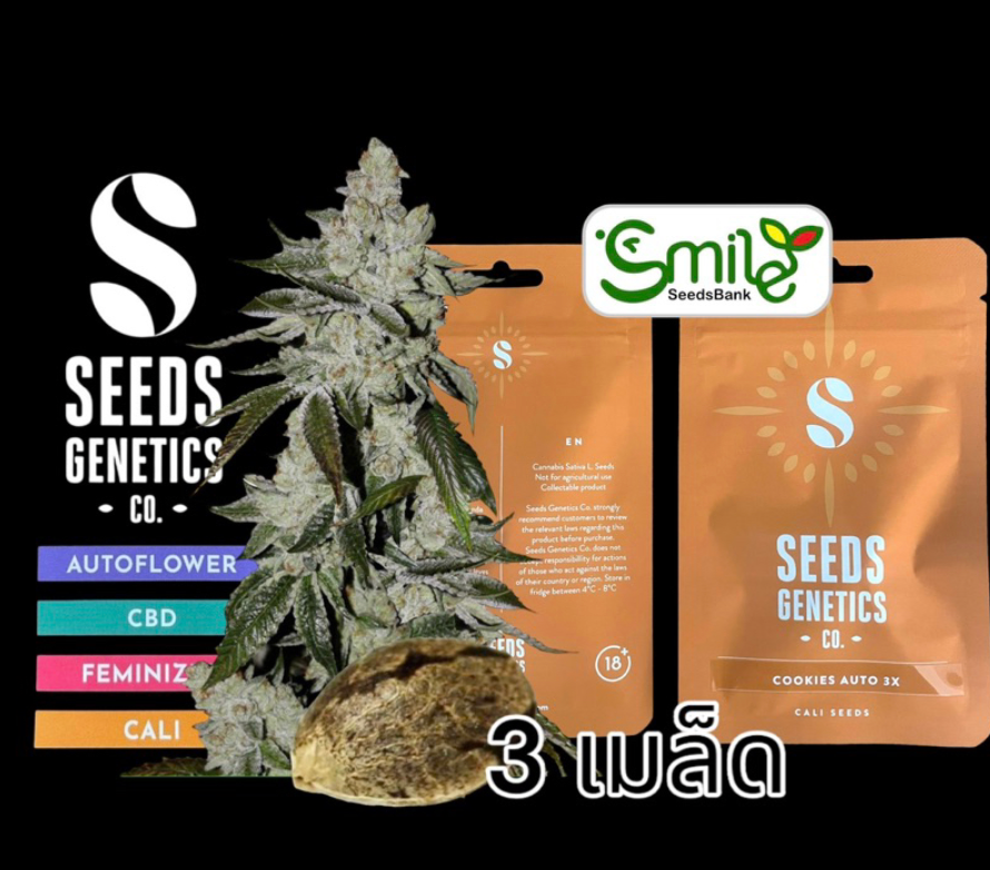 Seeds Genetics.Co Cookies Auto - Pack 3