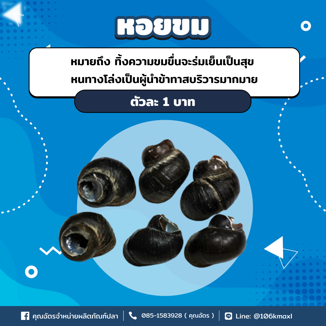 หอยขม