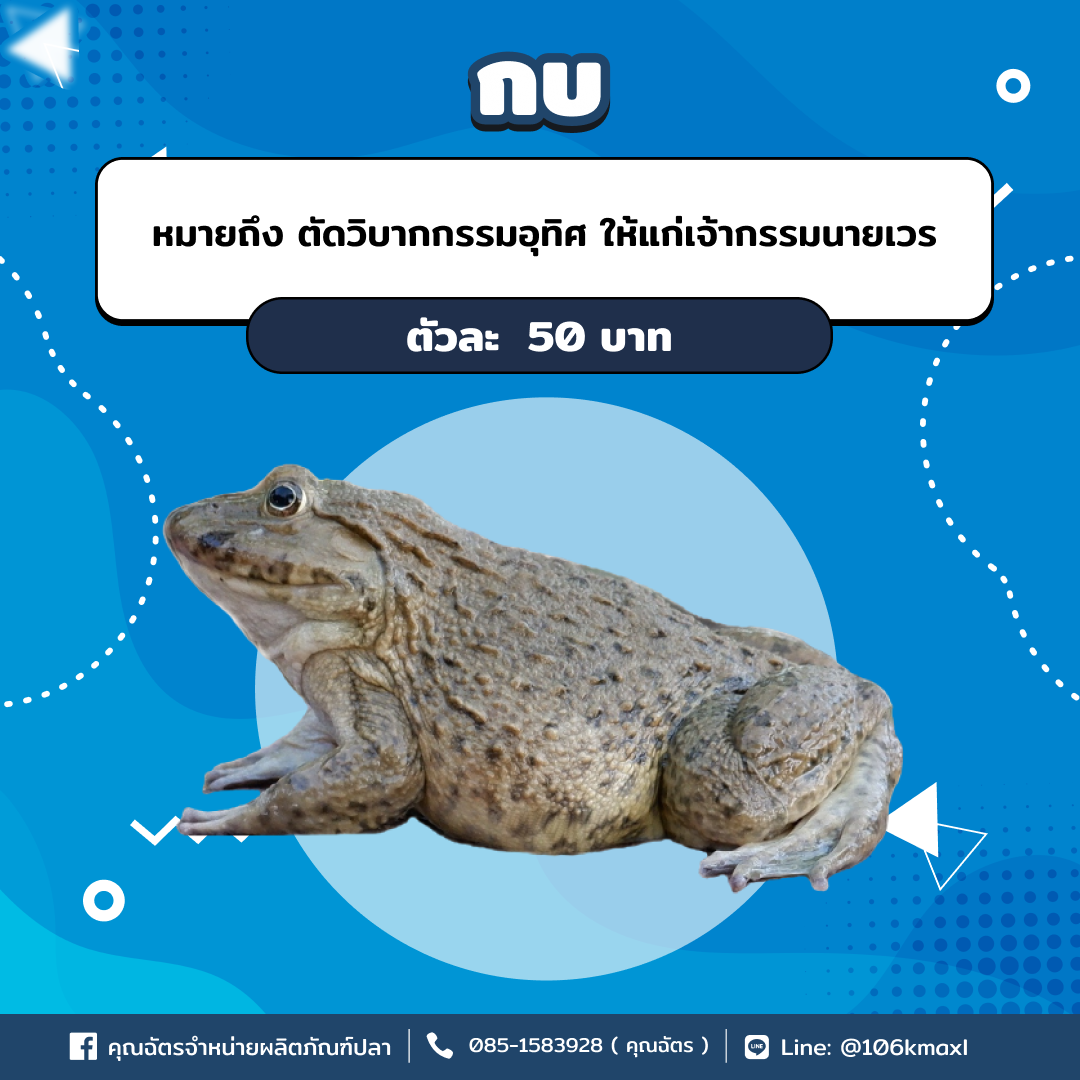 กบ