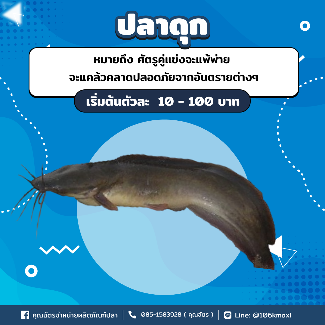 ปลาดุก