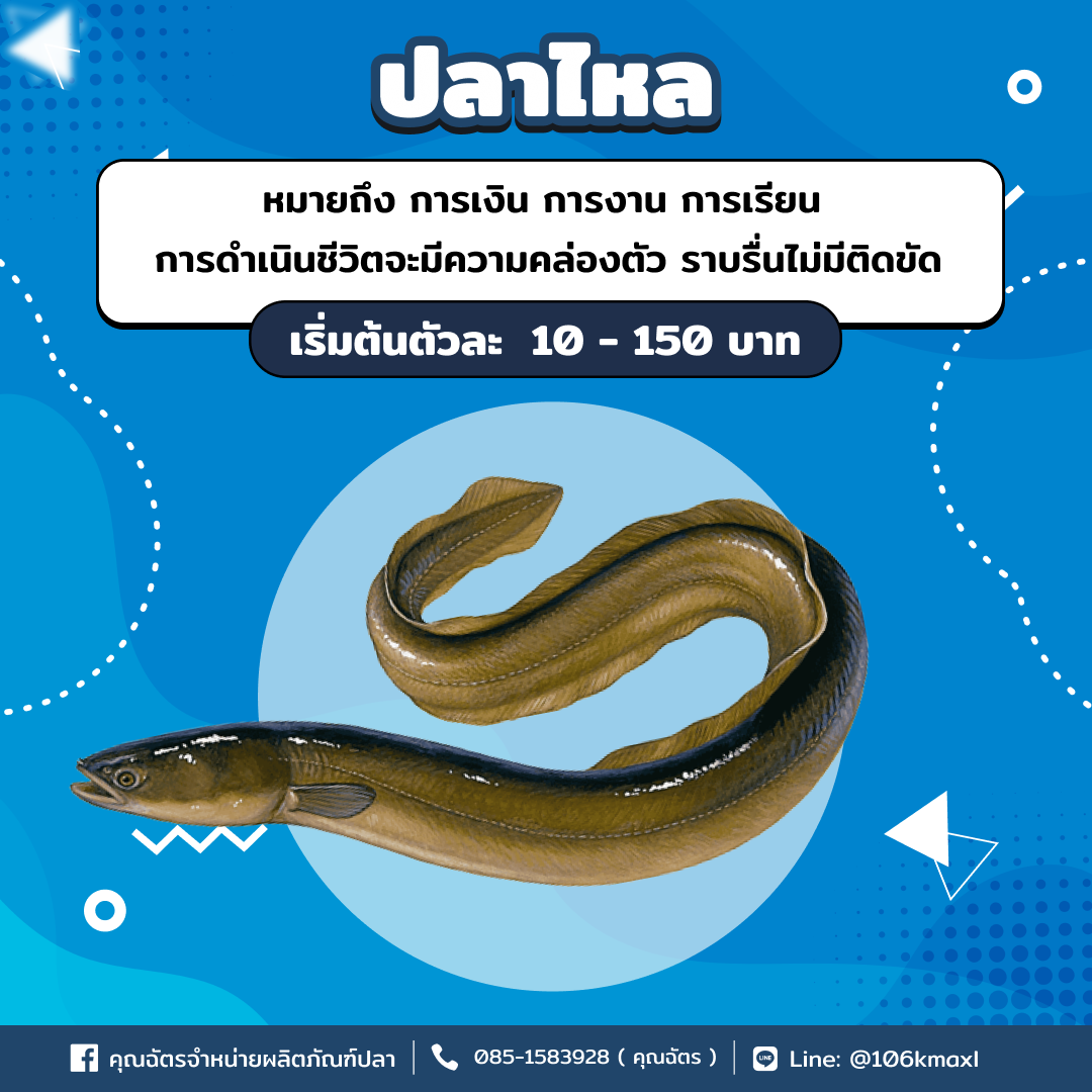 ปลาไหล