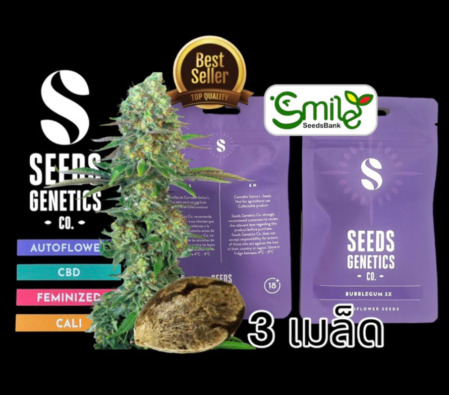 Seeds Genetics.Co Bubbles Auto - Pack 3