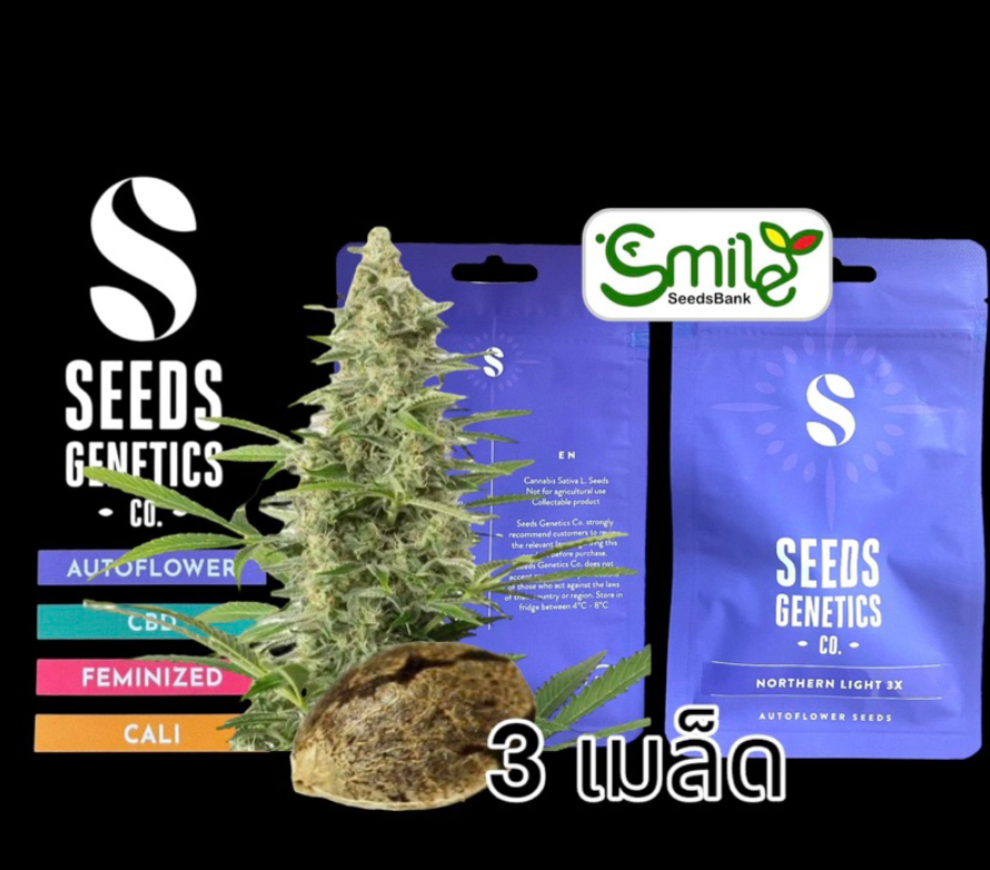 Seeds Genetics.Co Northern Light Auto - Pack 3