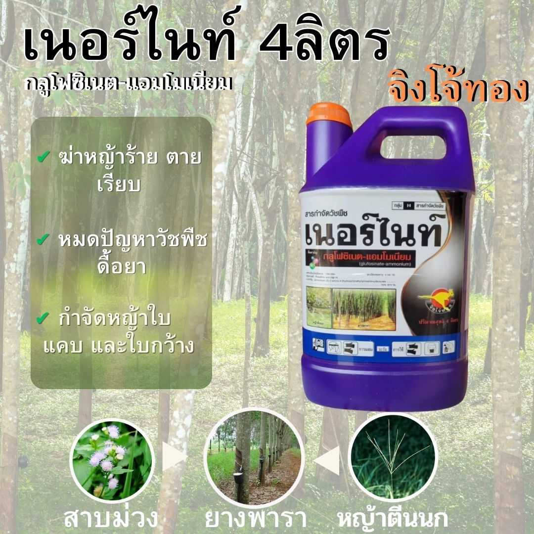 เนอร์ไนท์ กลูโฟซิเนต-แอมโมเนียม  4ลิตร แกลลอนแดงตราจิงโจ้ทอง กำจักวัชพืชประเภทใบแคบ/ใบกว้าง