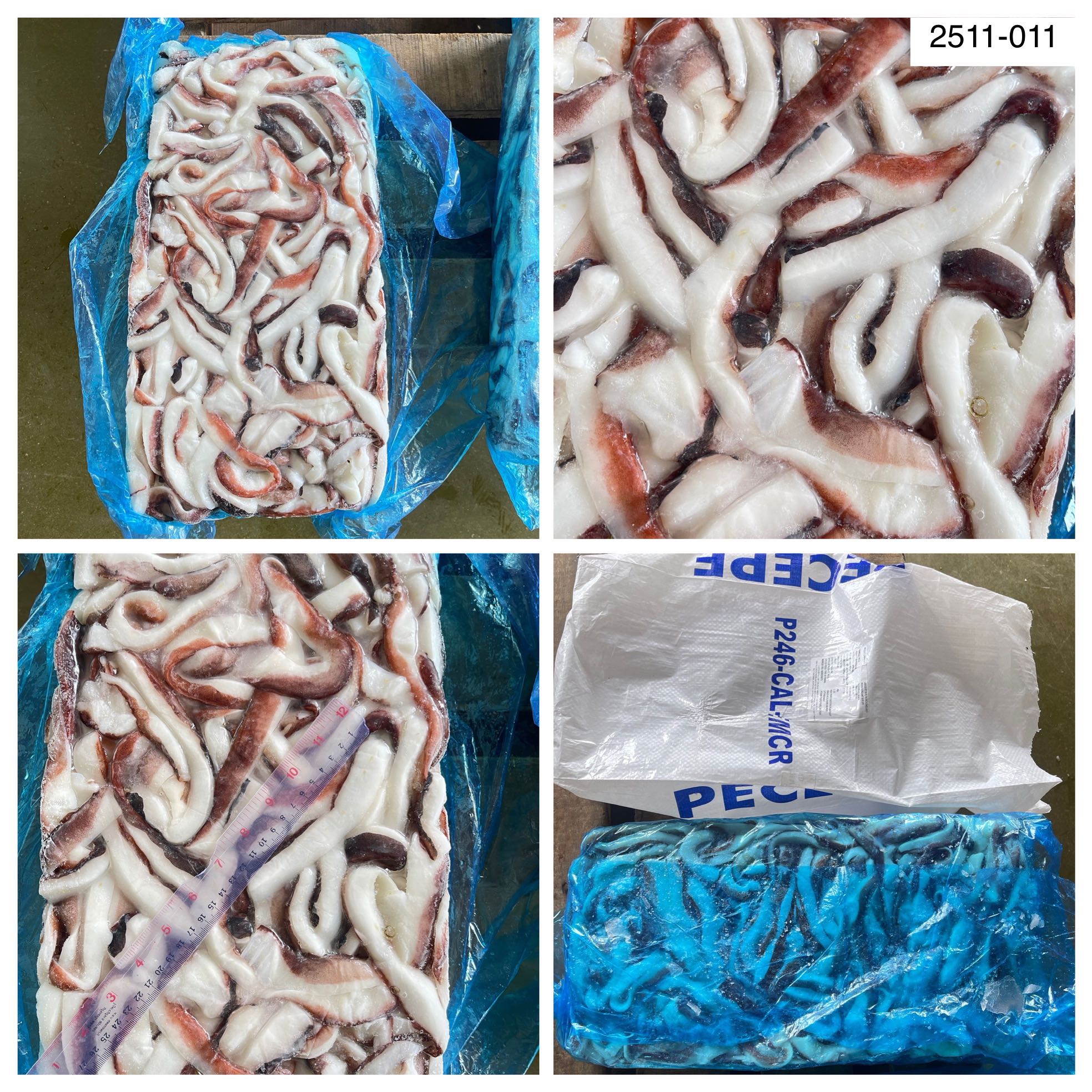 2511-011 เนื้อหมึกเส้นเปรู [  20 กก.]