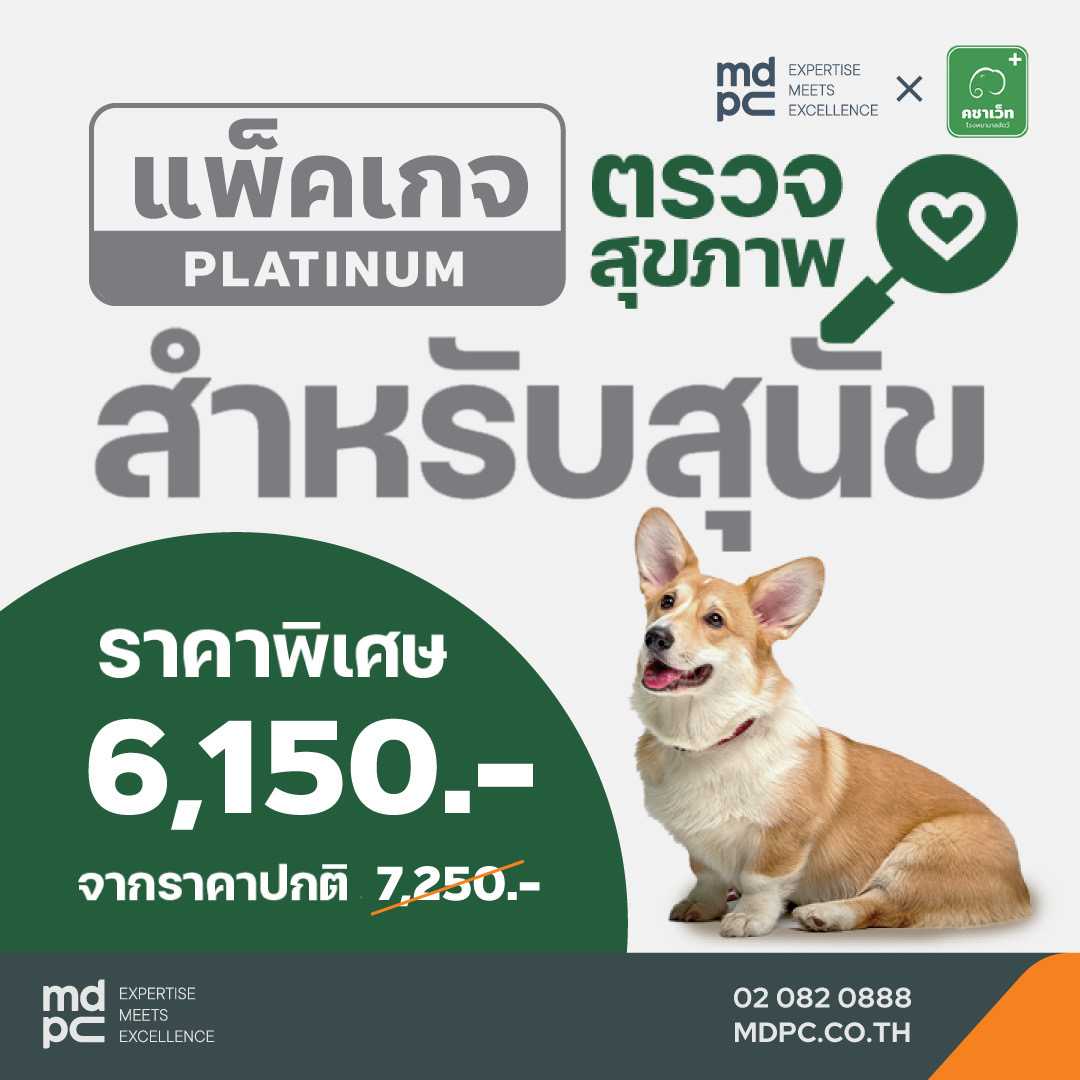 แพ็คเกจ ตรวจ สุขภาพ สำหรับสุนัข  Platinum 10 รายการ ที่ โรงพยาบาลสัตว์คชาเว็ท