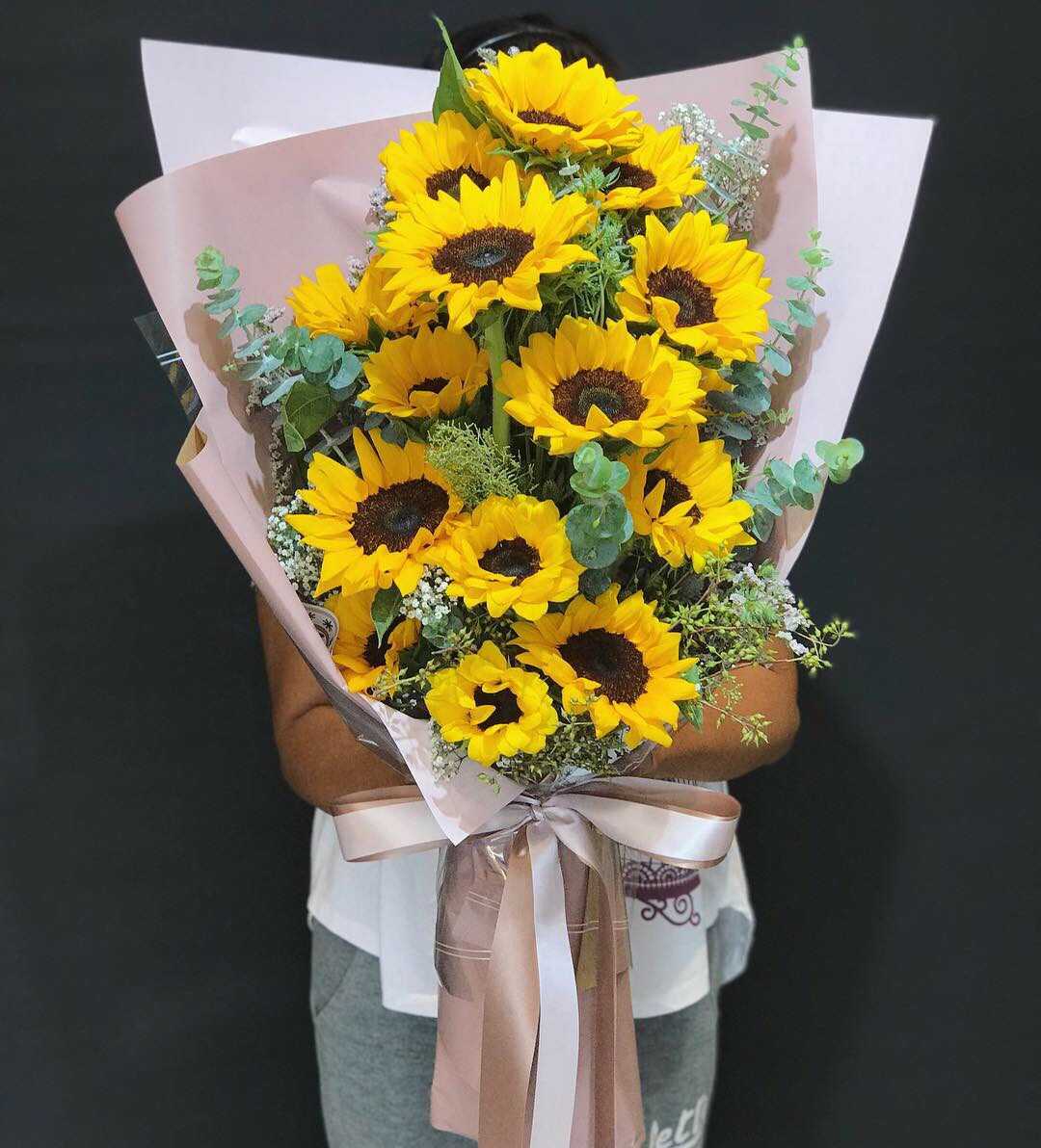 sunflowers