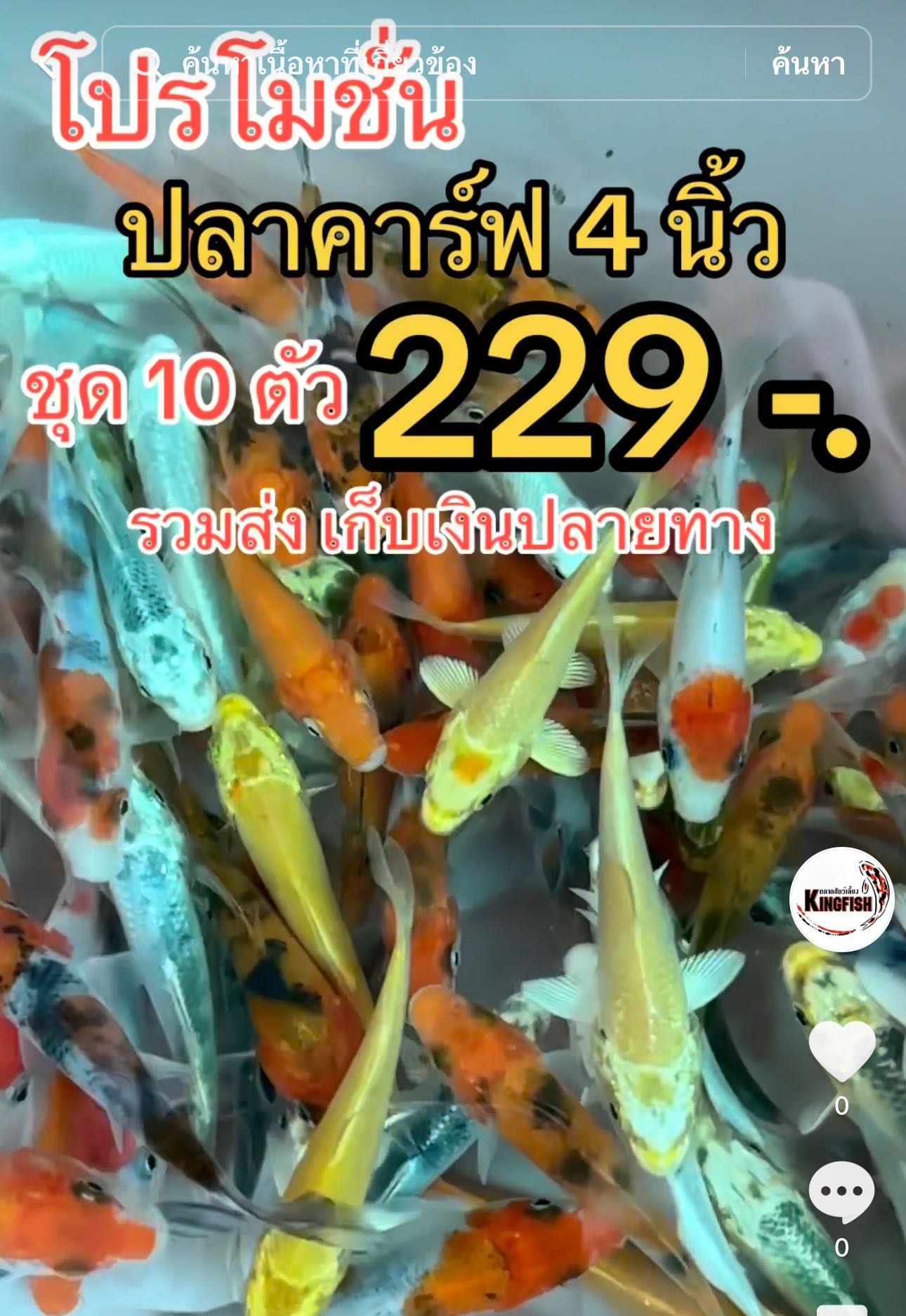 โปรโมชั้น คาร์ฟคละลาย 4 นิ้ว 10 ตัว 229 บาทรวมส่ง