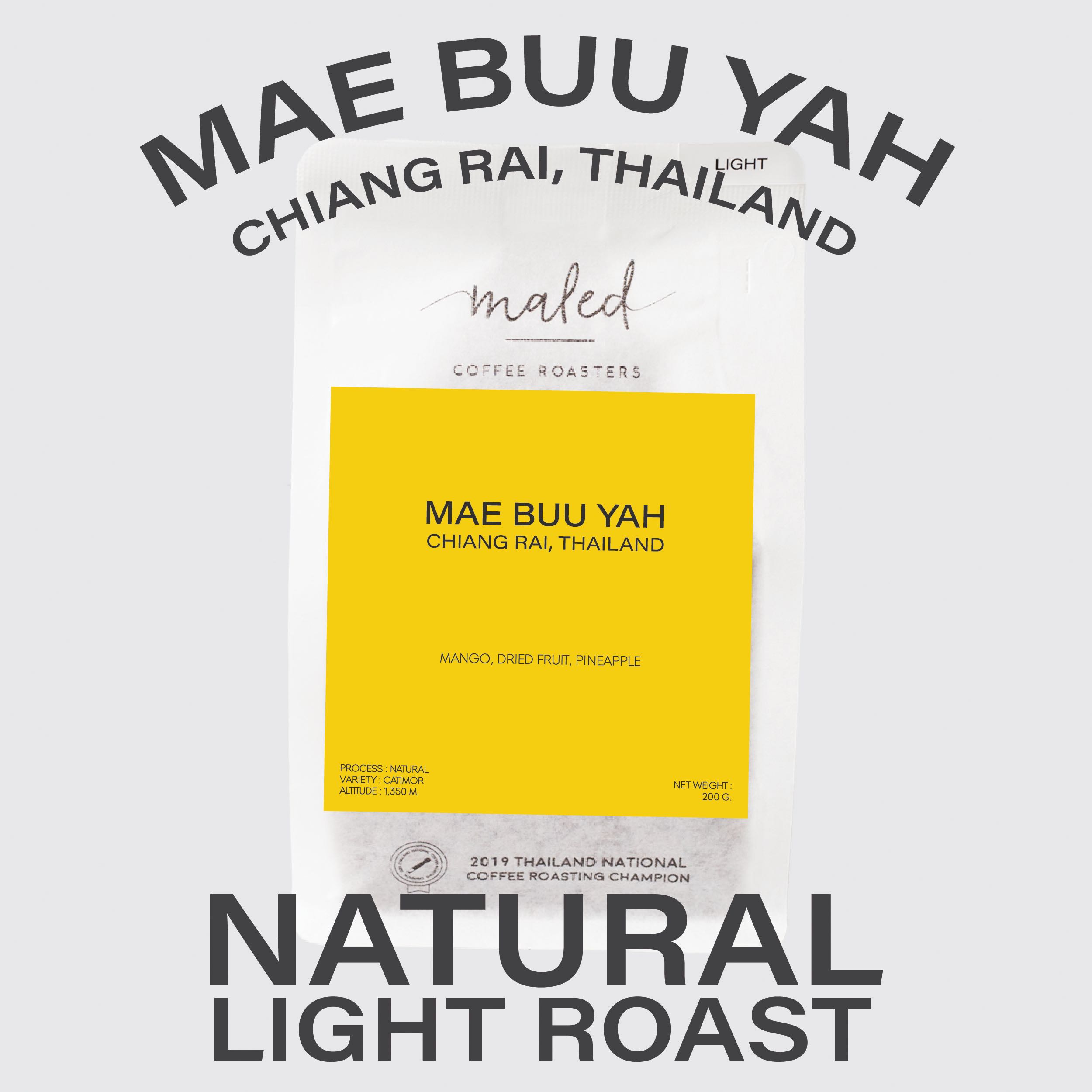 เมล็ดกาแฟ MAE BUU YAH, Chiang Rai(Natural), Light